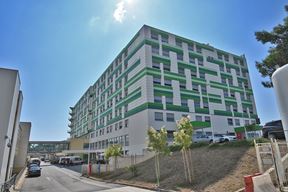 (Arhiva Glasa Istre)