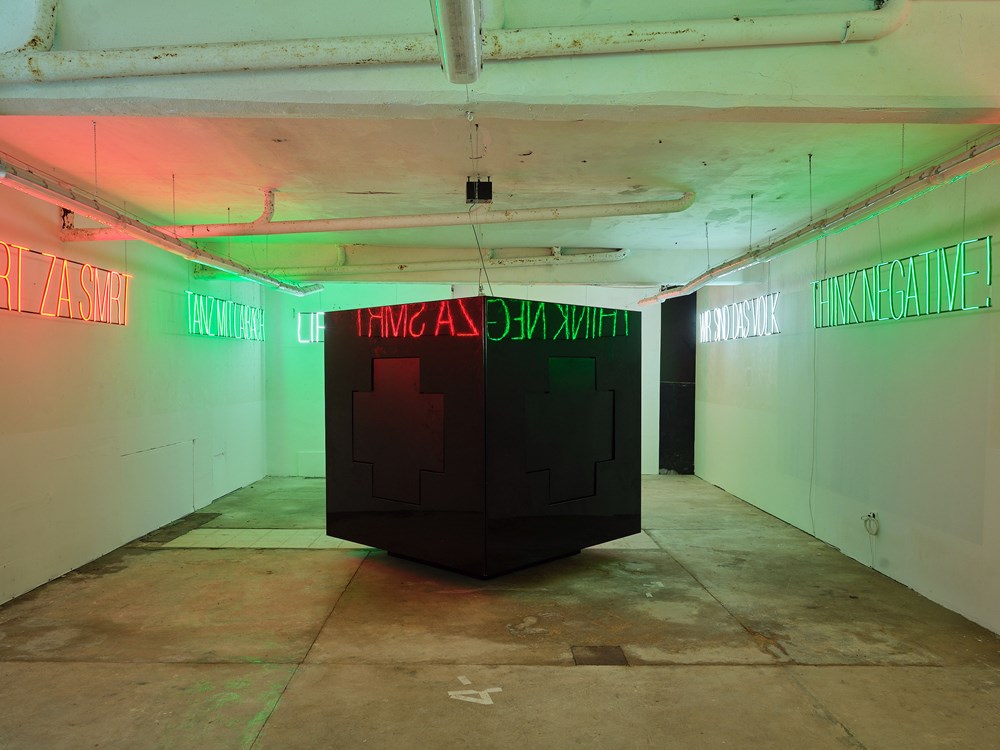 (Snimio Damir Žižić)