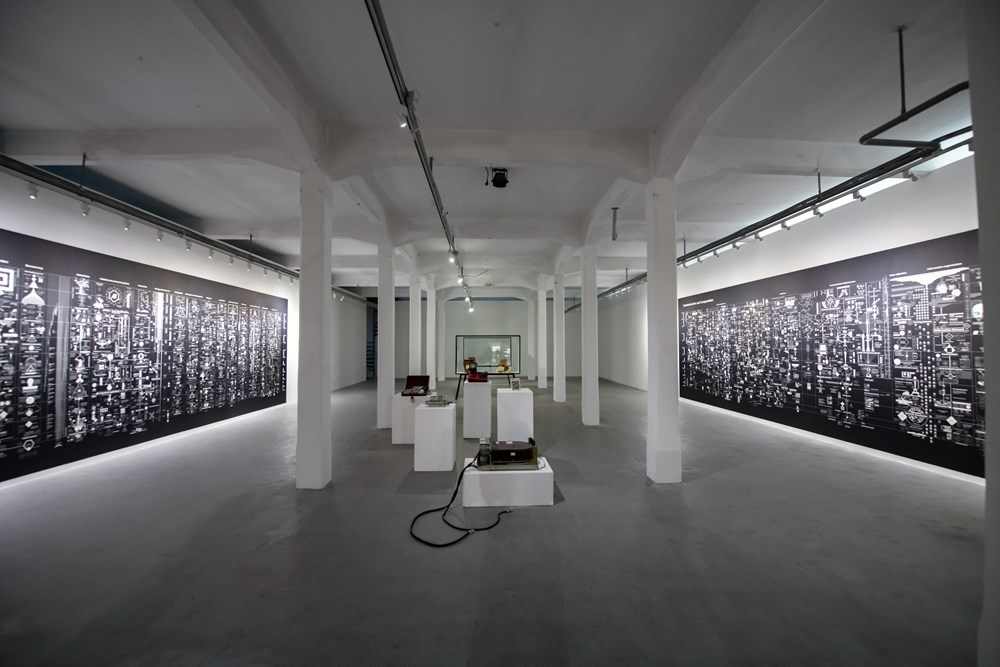 (Snimio Damir Žižić)