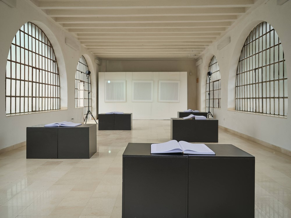 (Snimio Damir Žižić)