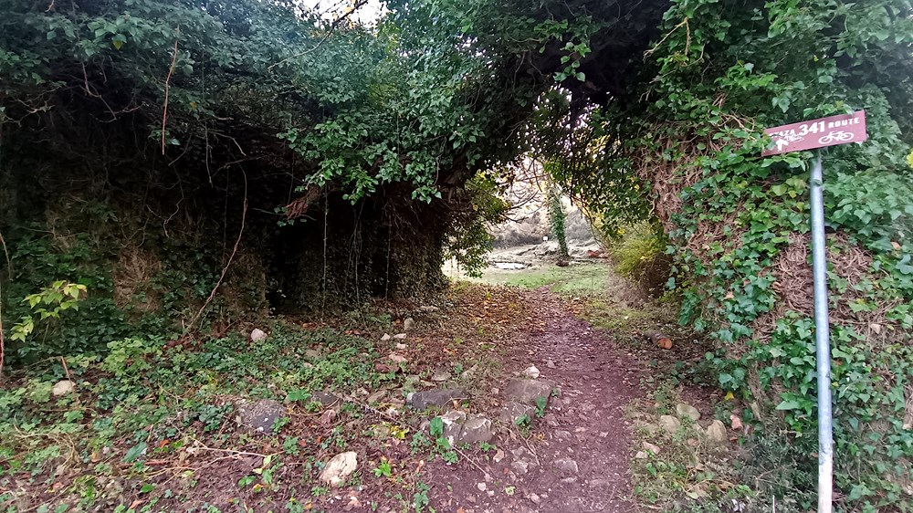 (Snimio Zvjezdan Strahinja)