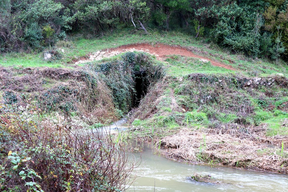 (Snimio Zvjezdan Strahinja)