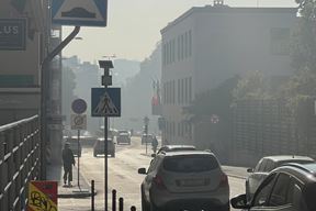 (Snimio Igor Zenzerović)