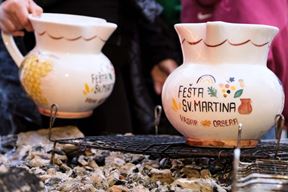 (Foto Općina Vrsar)