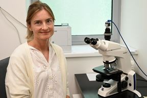 (Arhiva Glasa Istre)