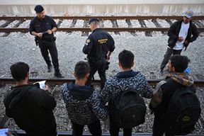 (Snimio Mateo Levak)