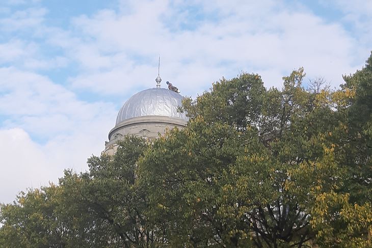 (Snimio Ivan Kuzmanović)