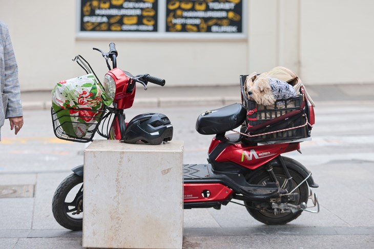 (Snimio Srecko Niketic / Pixsell)