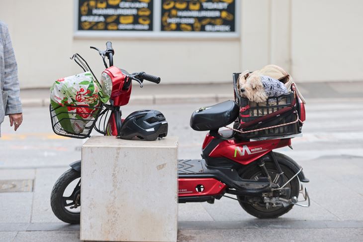 (Snimio Srecko Niketic / Pixsell)