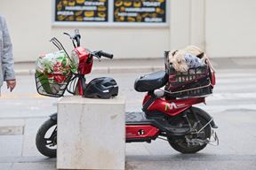 (Snimio Srecko Niketic / Pixsell)