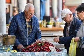 (Snimio Hrvoje Jelavić/Pixsell)