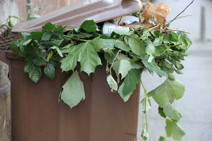 Ilustracija (Snimio Sanjin Strukić / Pixsell)