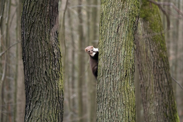 (Photo by Zdeněk Macháček on Unsplash)