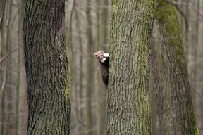 (Photo by Zdeněk Macháček on Unsplash)