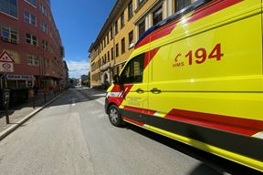 Ilustracija (Snimio Nikola Pušonjić)