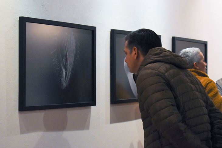 (Snimila Nastasja Miletić)