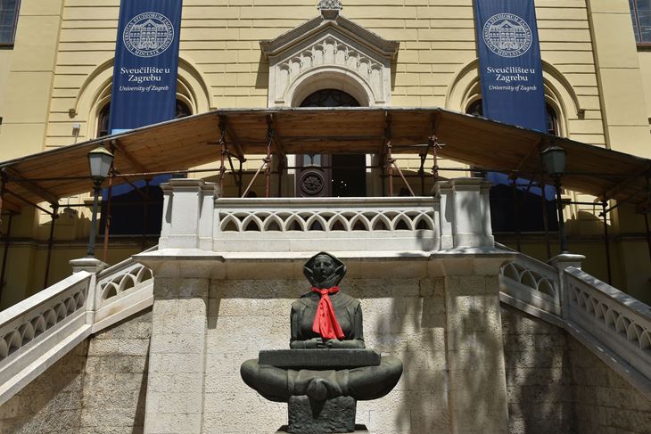 (Snimio Davorin Višnjić/Pixsell)