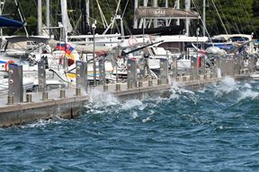 Ilustracija (Snimio Milivoj Mijošek)