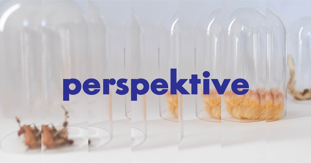 (Sa(n)jam knjige u Istri)