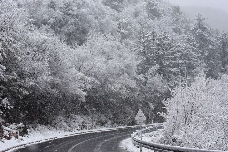 Ilustracija (Snimio Sergej Drechsler)