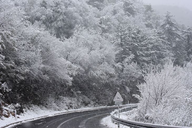 Ilustracija (Snimio Sergej Drechsler)