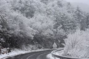 Ilustracija (Snimio Sergej Drechsler)