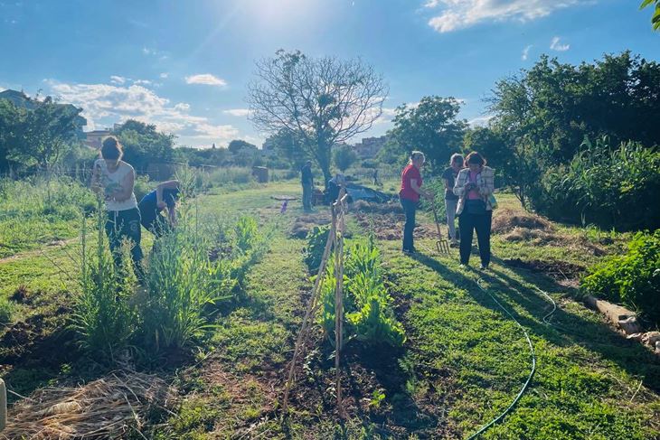 Ilustracija (Zelena Istra)