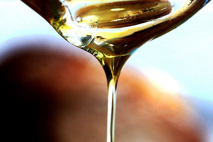 (Snimio Milivoj Mijošek)