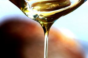 (Snimio Milivoj Mijošek)