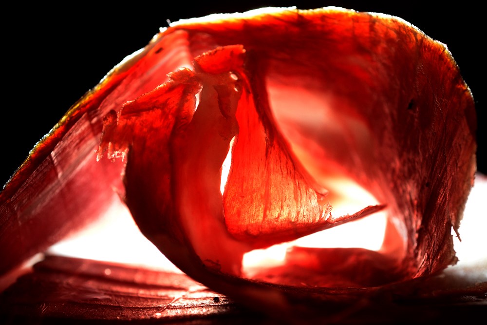 (Snimio Milivoj Mijošek)