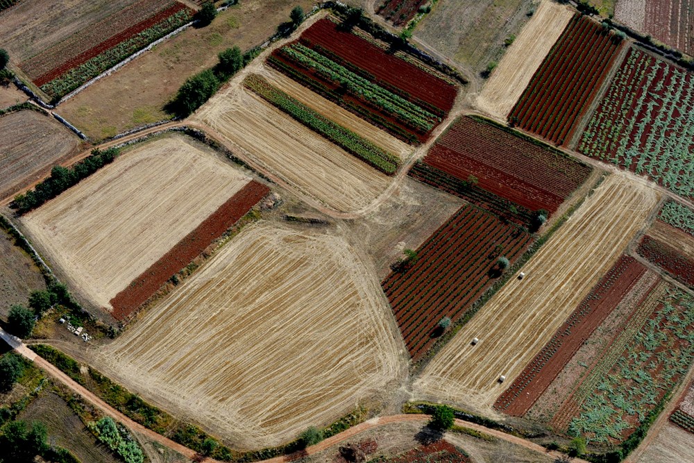 (Snimio Milivoj Mijošek)