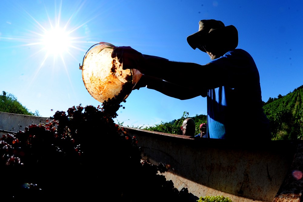 (Snimio Milivoj Mijošek)