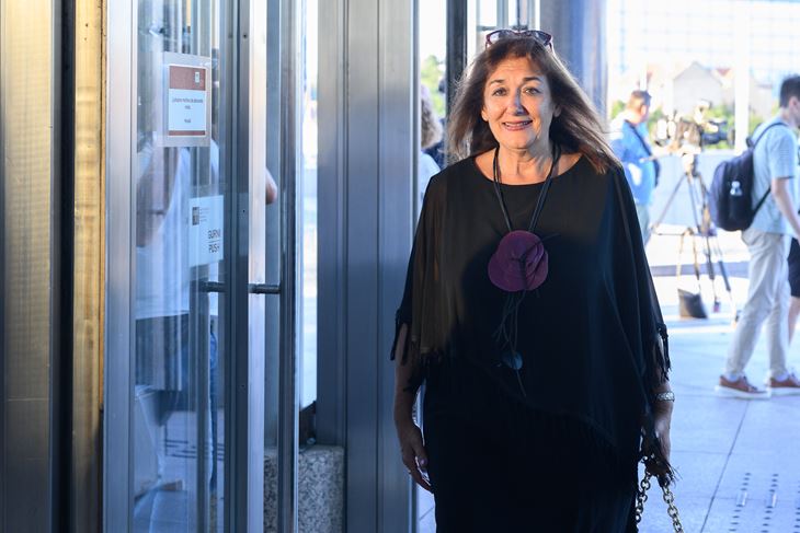 (Snimio Davor Puklavec / Pixsell)