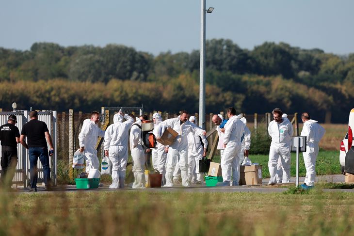 Ilustracija (Snimio Davor Javorovic/Pixsell)