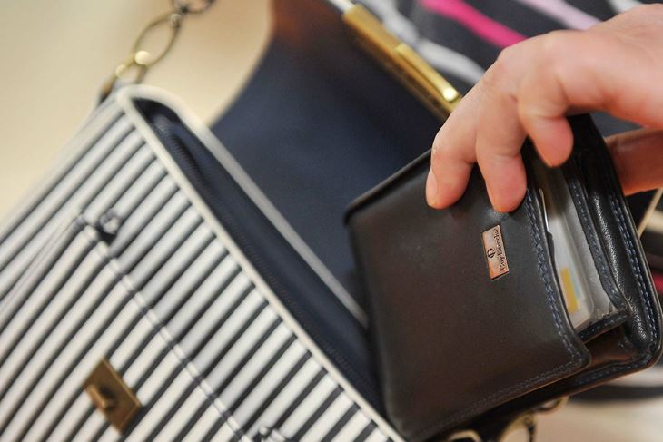 Ilustracija (Snimio Sergej Drechsler)