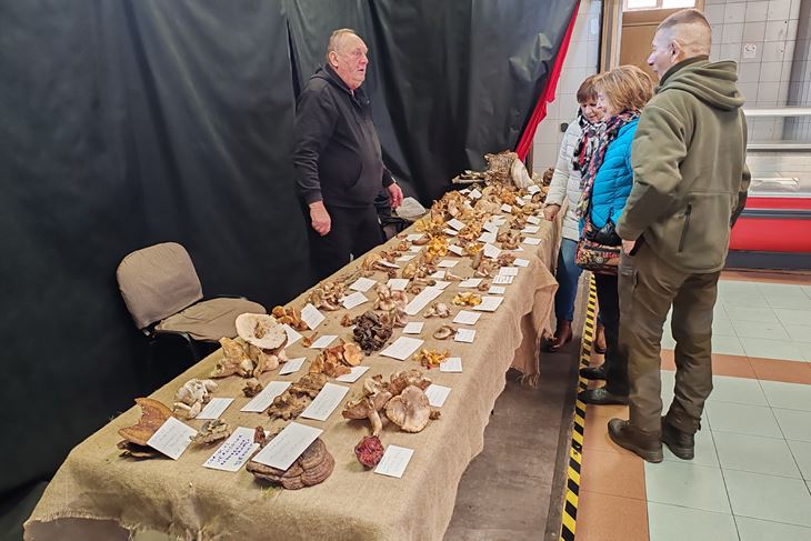 (Snimio Branko Biočić)