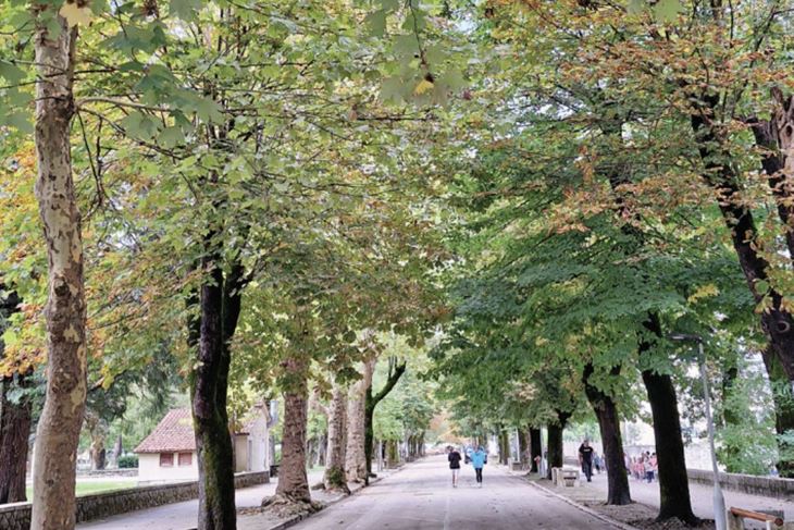 Ilustracija (Grad Pazin)