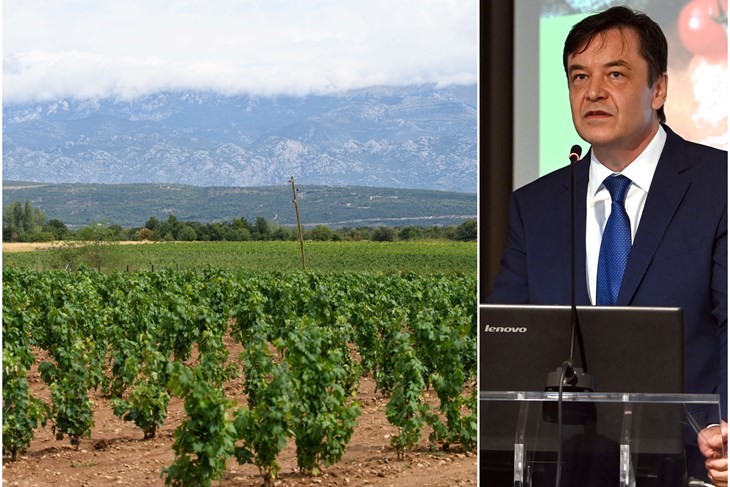 (Arhiva Novog lista)