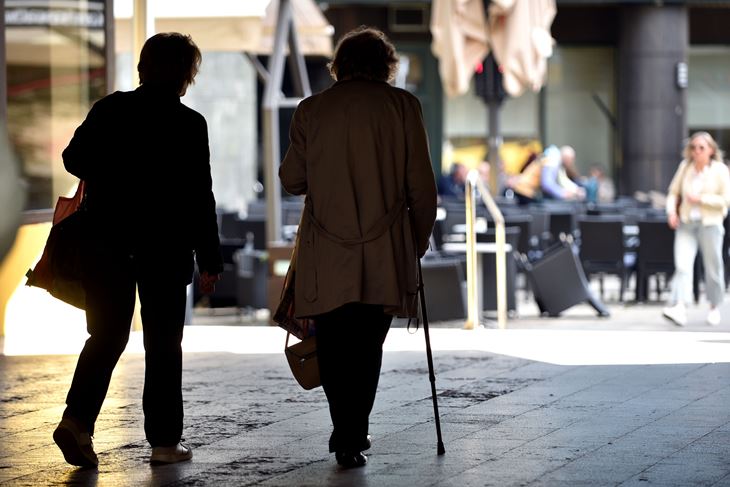 Ilustracija (Snimio Davor Kovačević)