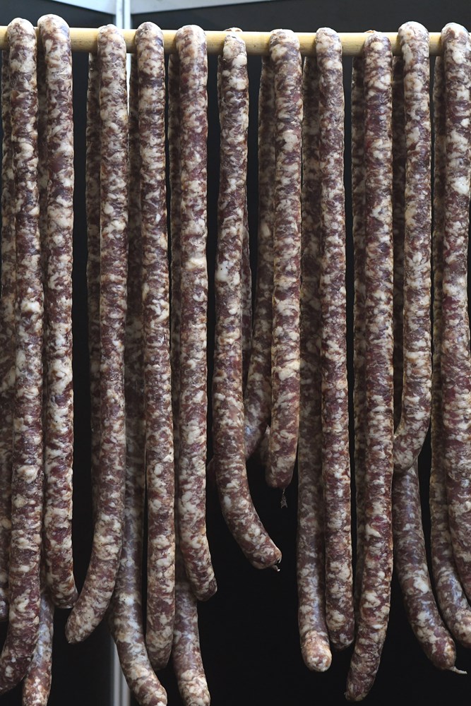 (Snimio Milivoj Mijošek)