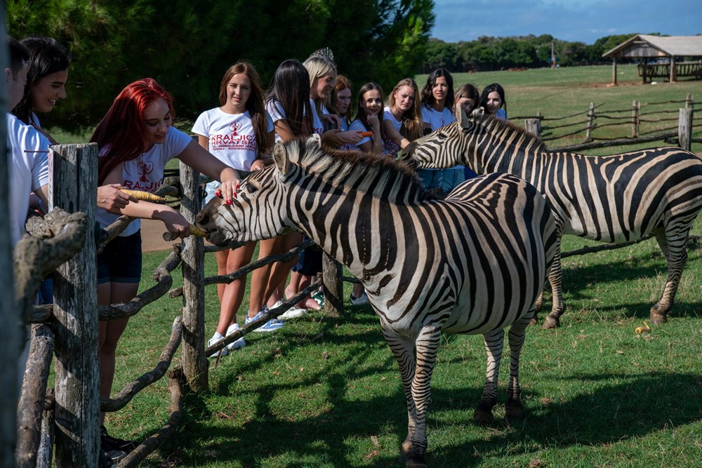 (Foto Giordano Cellich i Josip Čekada)