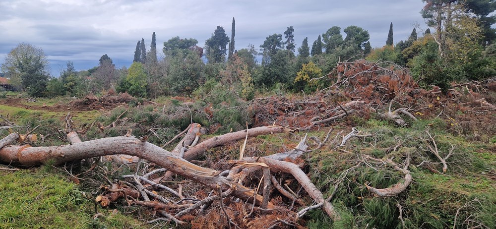 (Snimila Nina Orlović Radić)
