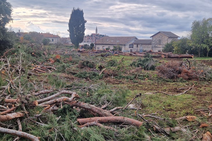 (Snimila Nina Orlović Radić)