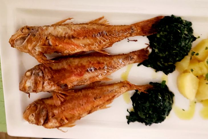 (Snimio Zvjezdan Strahinja)