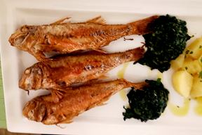 (Snimio Zvjezdan Strahinja)