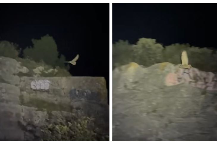 (Foto: Screenshot / Facebook: Zeleni Rovinj)