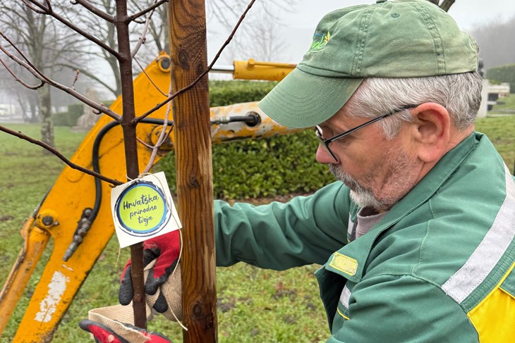 (Turistička zajednica Buzet)