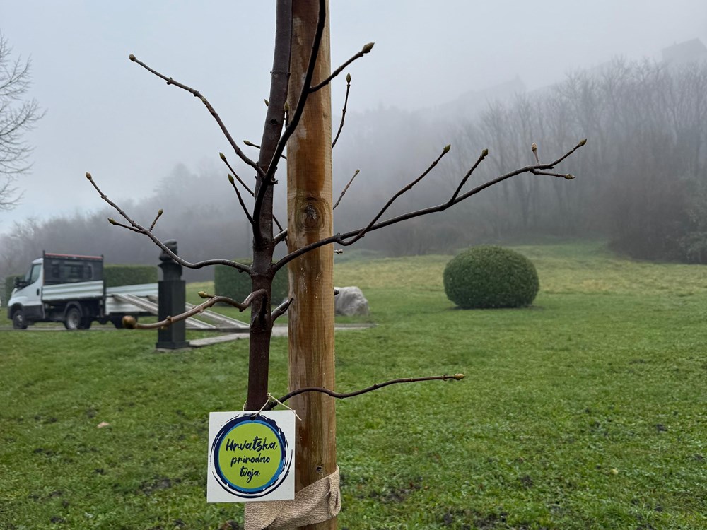 (Turistička zajednica Buzet)