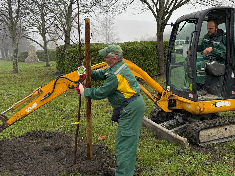 (Turistička zajednica Buzet)