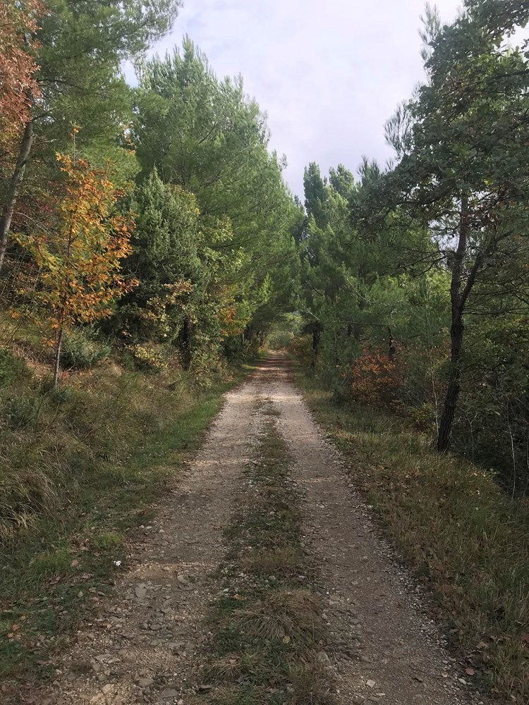 (Snimio Nikola Pušonjić)